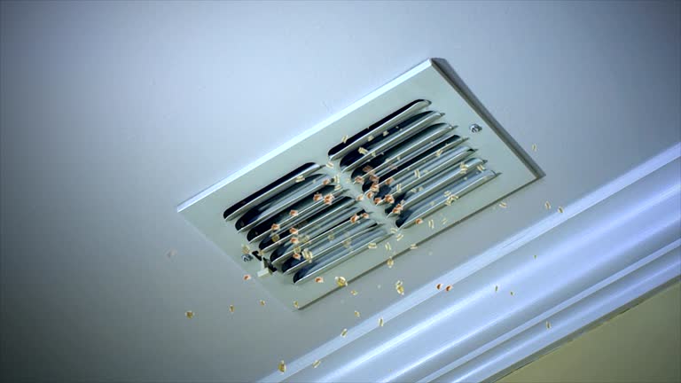 Best Duct Cleaning for Offices  in Atwater, MN