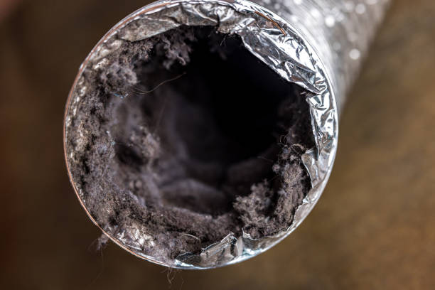 Best Residential Air Duct Cleaning  in Atwater, MN