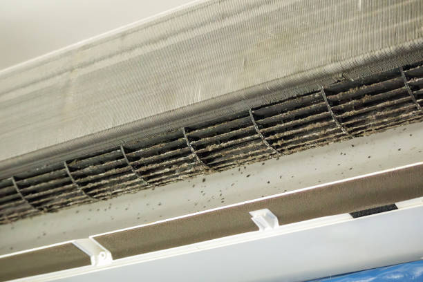 Best Local Air Duct Cleaning Services  in Atwater, MN