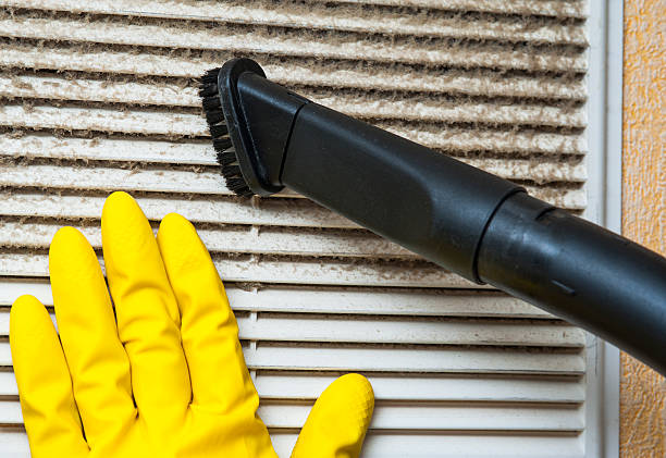 Best Dryer Vent Cleaning Services  in Atwater, MN